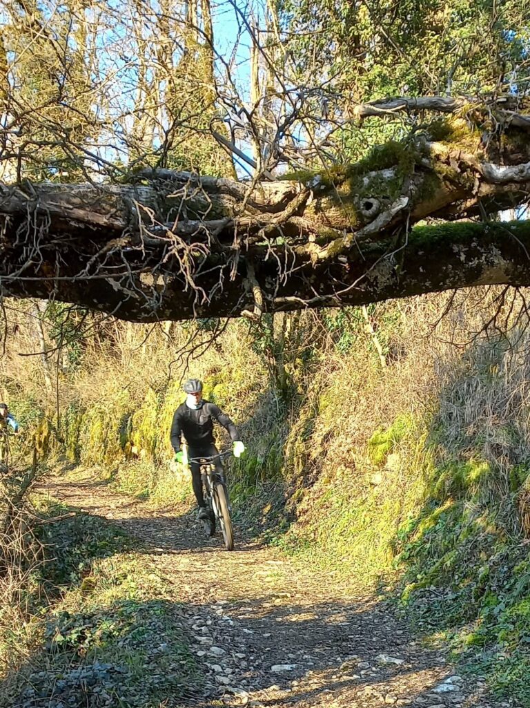 Tracé groupe « moyens » et « grands » du samedi 20 janvier 2024